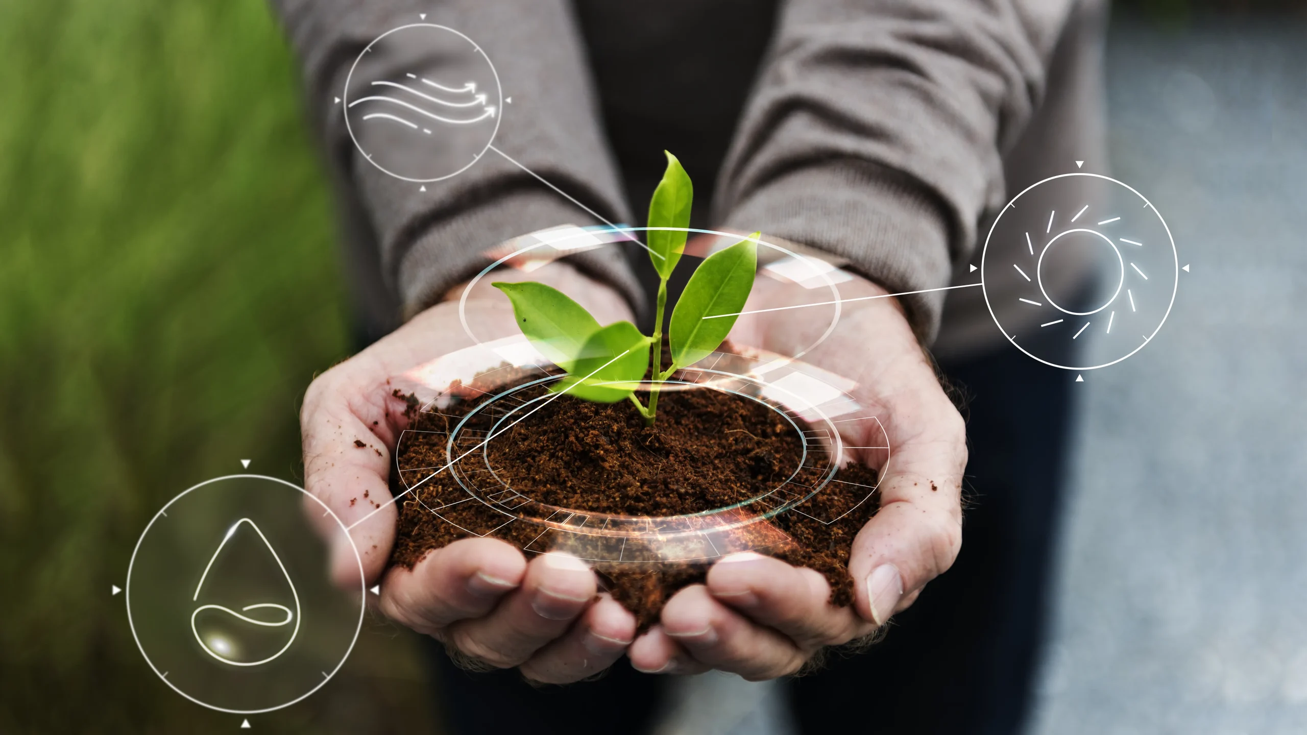 smart agriculture iot with hand planting tree background scaled - خرید انواع کود های وارداتی مرغوب در تهران گرو مقایسه کود بایوبیز با کودهای شیمیایی: کدام گزینه بهتر است؟