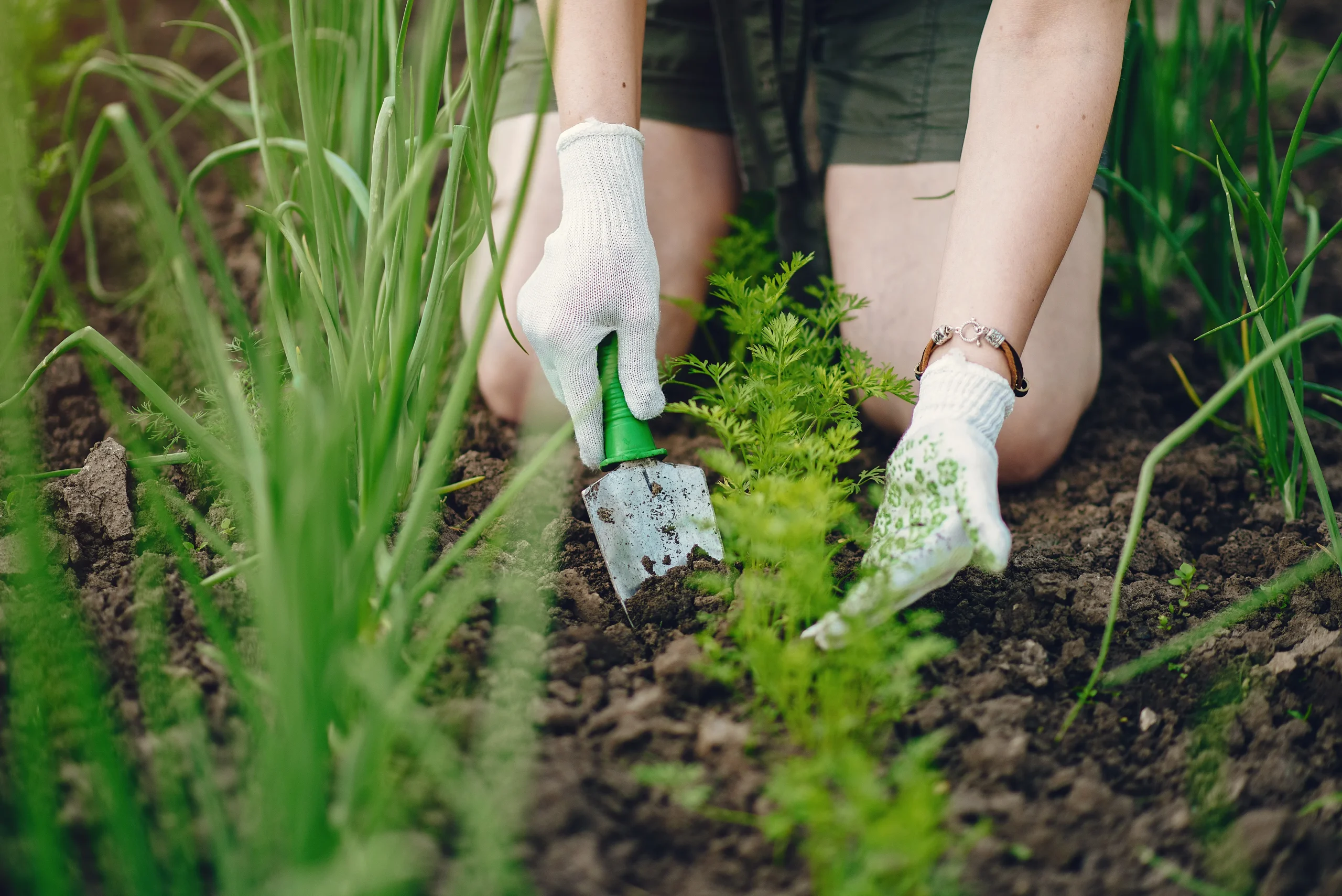 beautiful woman works garden near house scaled - خرید انواع کود های وارداتی مرغوب در تهران گرو بررسی تأثیر کود بایوبیز فیش میکس بر رشد و توسعه گیاهان
