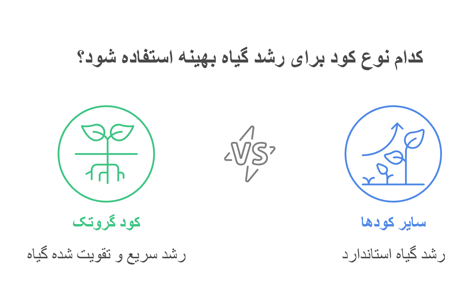 visual selection 4 e1748447593218 - خرید انواع کود های وارداتی مرغوب در تهران گرو با کود گروتک، رشد گیاهانتان را متحول کنید!