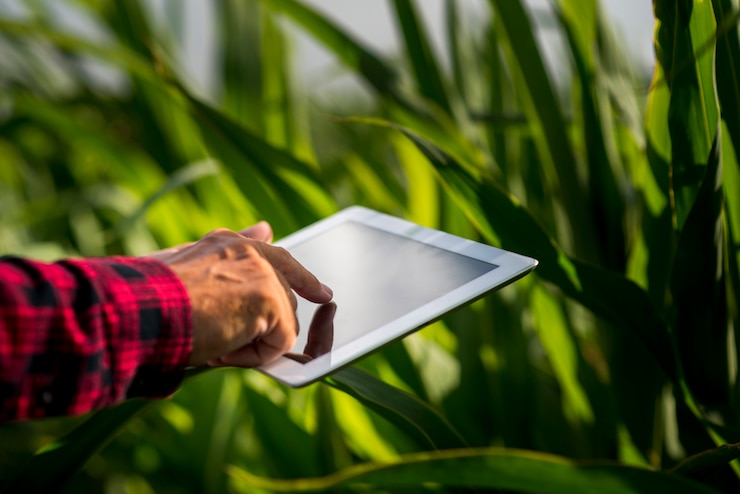 close up man using tablet field 23 2148233377 - خرید انواع کود های وارداتی مرغوب در تهران گرو close up man using tablet field 23 2148233377 - خرید انواع کود های وارداتی در تهران گرو