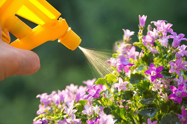 istockphoto 165217270 612x612 1 - خرید انواع کود های وارداتی مرغوب در تهران گرو istockphoto 165217270 612x612 1 - خرید انواع کود های وارداتی در تهران گرو