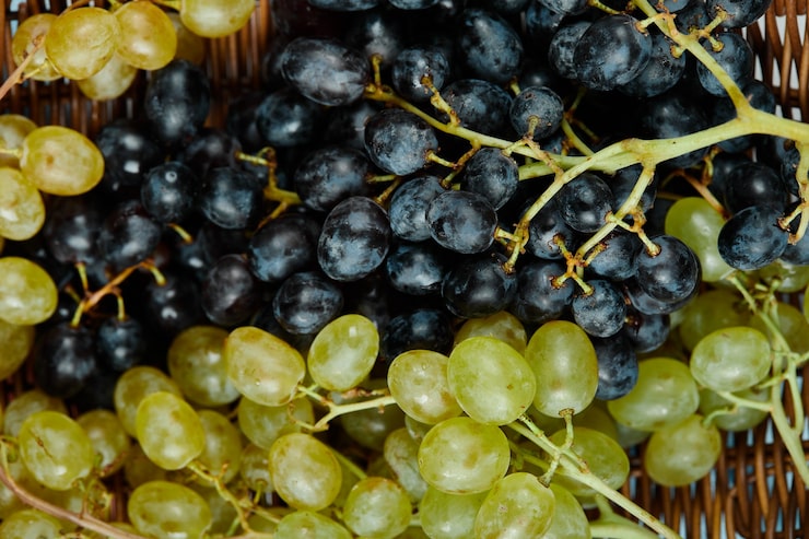 cluster mixed grapes basket close up high quality photo 114579 44293 - خرید انواع کود های وارداتی مرغوب در تهران گرو پربار کردن درخت انگور