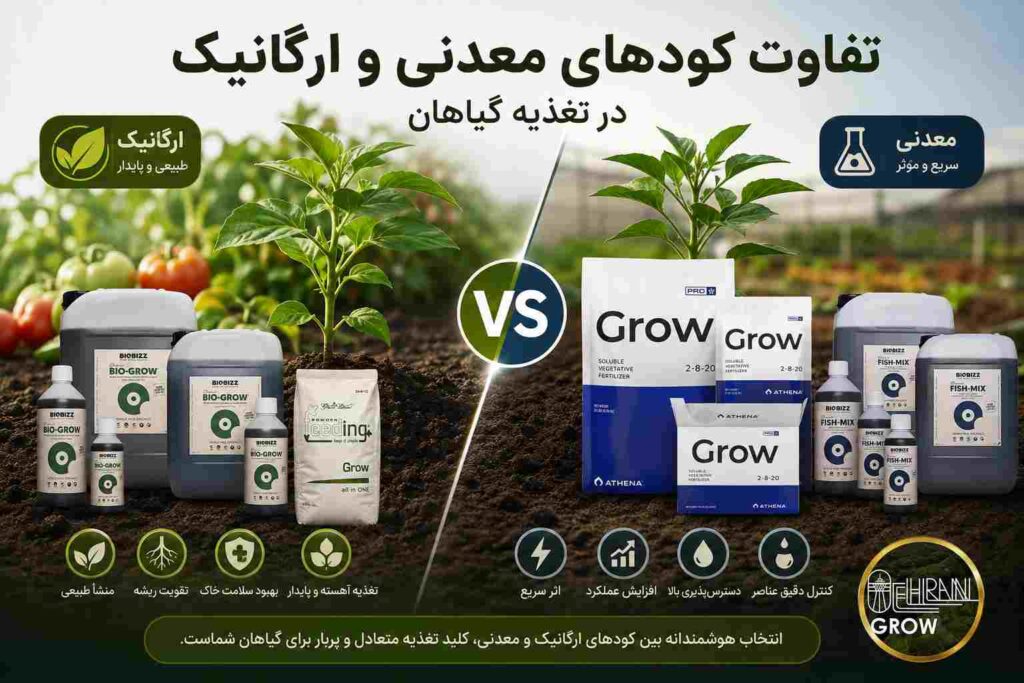 کود رشد
