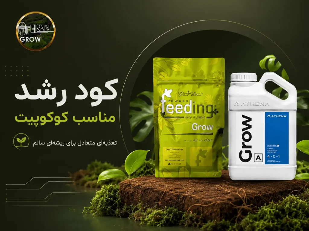 کود رشد
