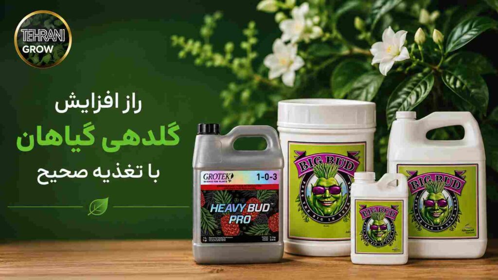 کود گلدهی
